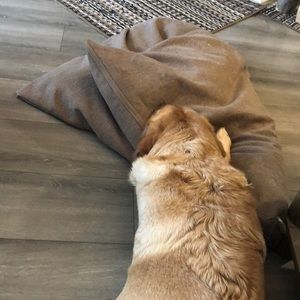 Meet your Posher, Mckenna